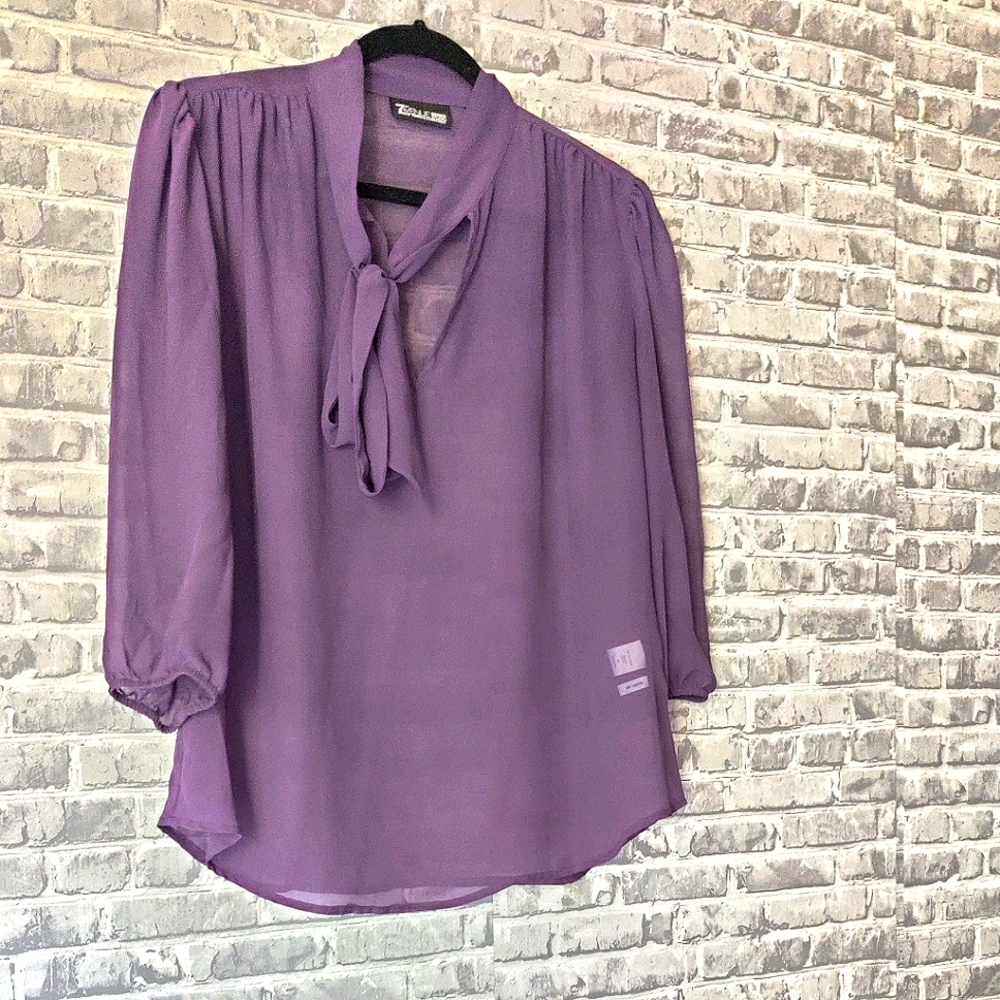 ✓NY&C Sheer Blouse✓